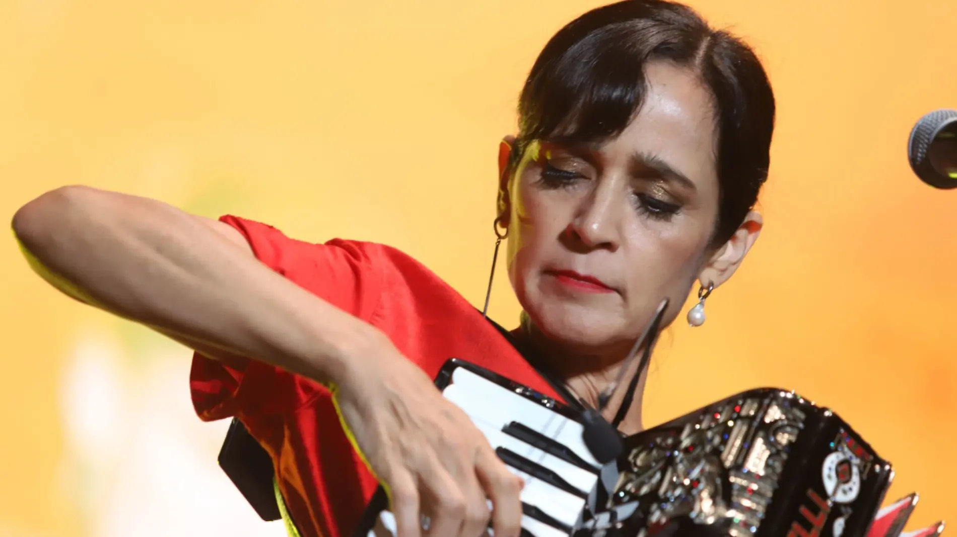 Julieta Venegas 